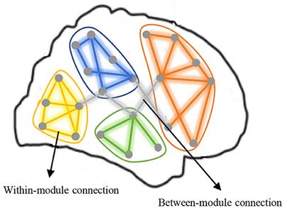 Accurate module induced brain network construction for mild cognitive impairment identification with functional MRI
